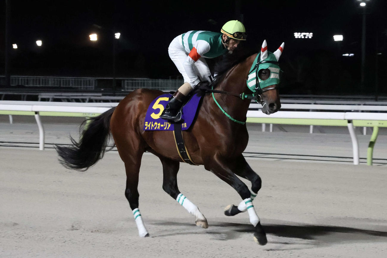 引退戦の勝島王冠で返し馬をするライトウォーリア