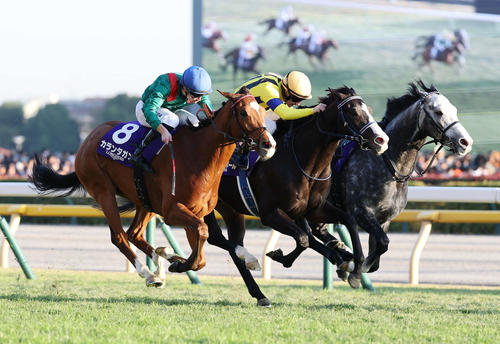 世界最強馬カランダガンの評価はどうなる?」ジャパンCのレーティング 世界最強馬カランダガンの評価はどうなる?」ジャパンCのレーティング