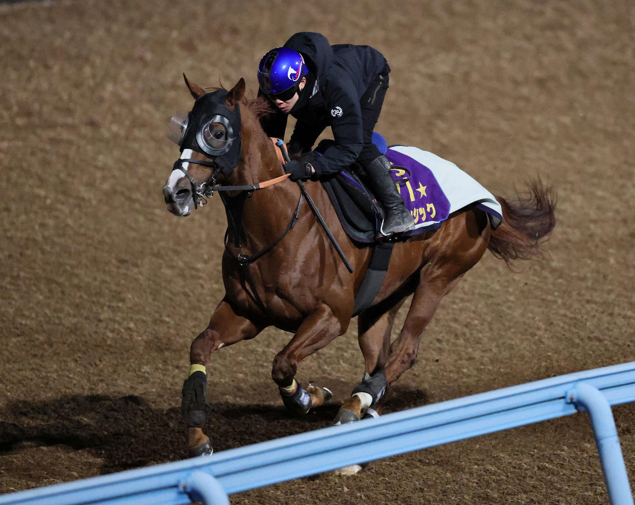 アーバンシックは三浦騎手を背に美浦ウッドで追い切られた（撮影・丹羽敏通）