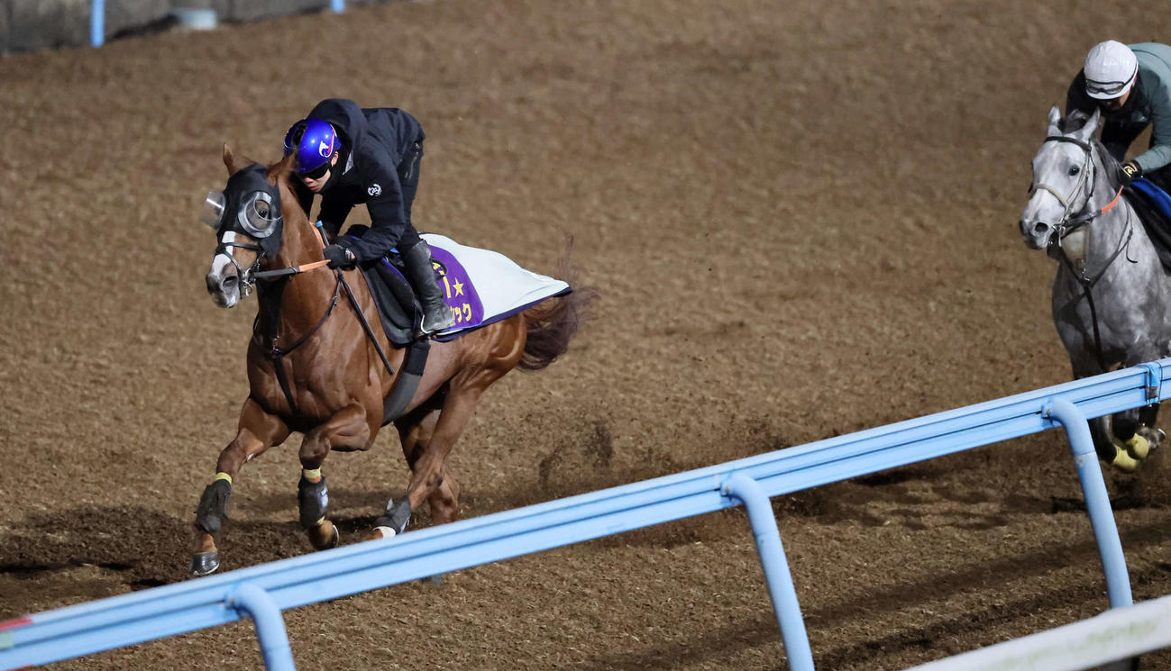 アーバンシック（左）は美浦ウッドでソウルアンドジャズと併せて追い切られた（撮影・丹羽敏通）