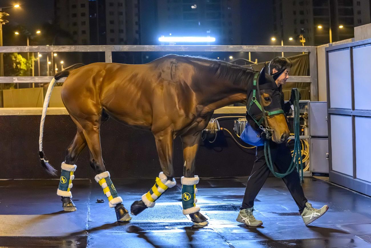 3日夜、香港に到着したベラジオオペラ（C）The　Hong　Kong　Jockey　Club