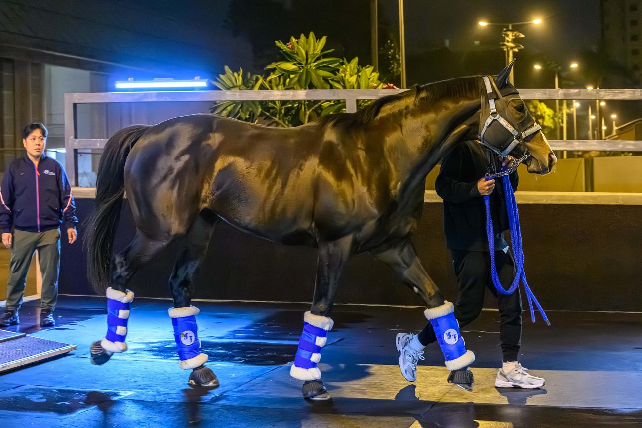 3日夜、香港に到着したソウルラッシュ（C）The　Hong　Kong　Jockey　Club
