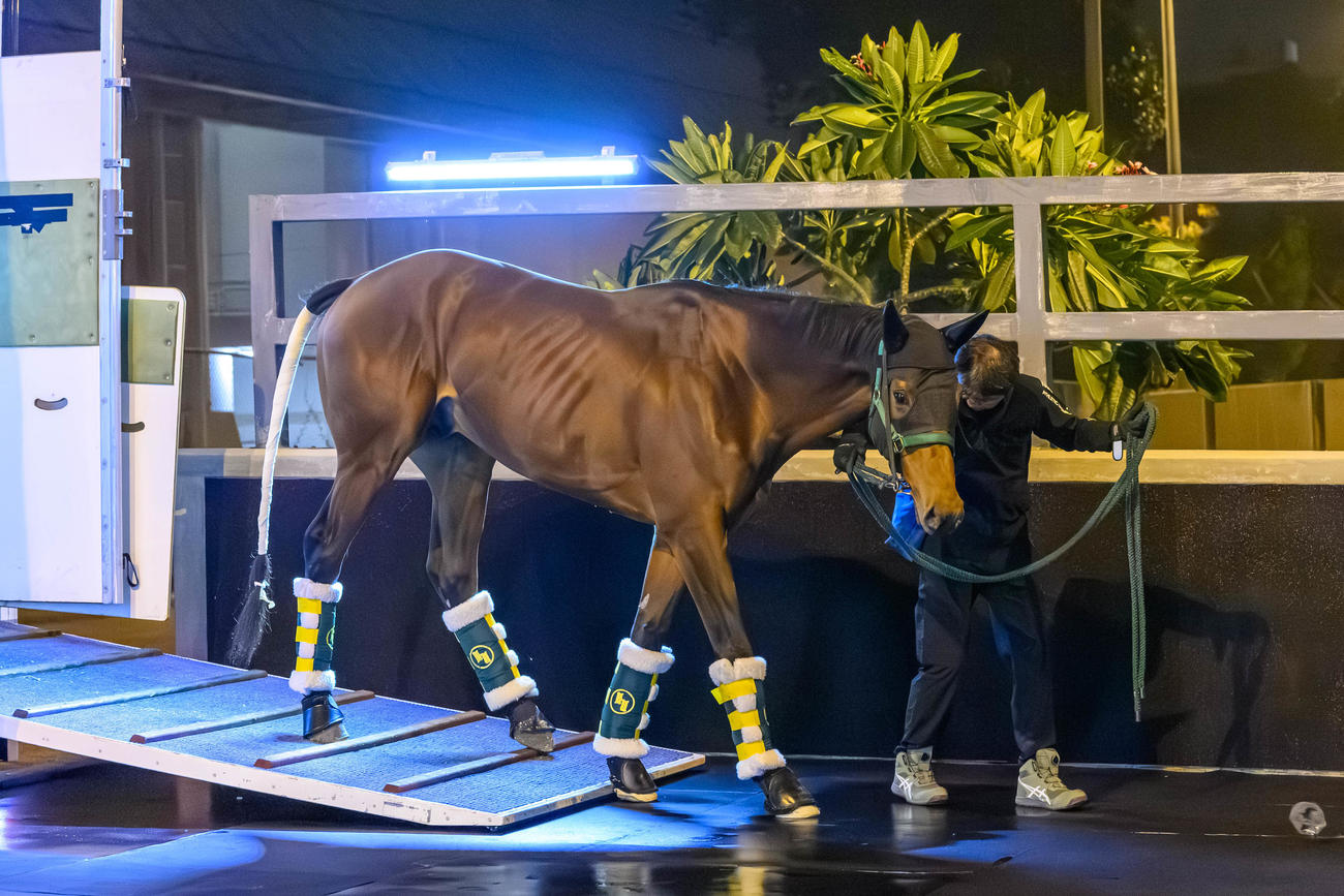 3日夜、香港に到着したベラジオオペラ（C）The　Hong　Kong　Jockey　Club