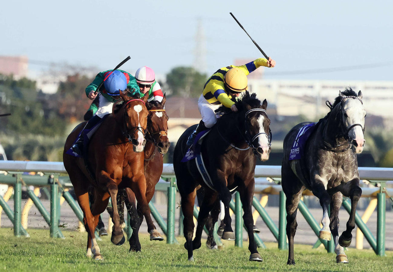 東京12R、マスカレードボール（中央）との競り合いを制してジャパンCに勝利したカランダガンとバルザローナ騎手（左）（撮影・丹羽敏通）