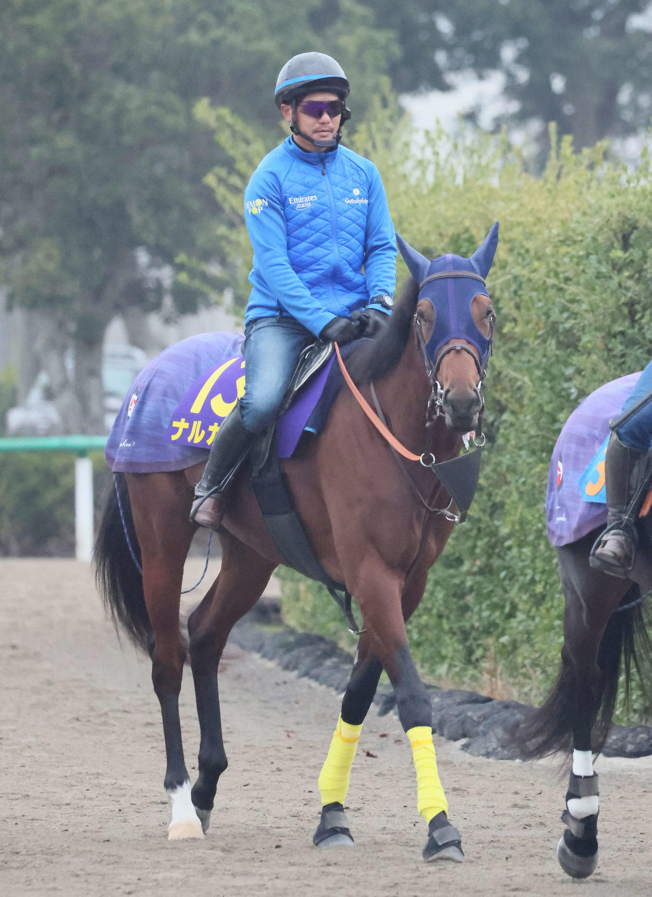 3日、馬場へ向かうナルカミ