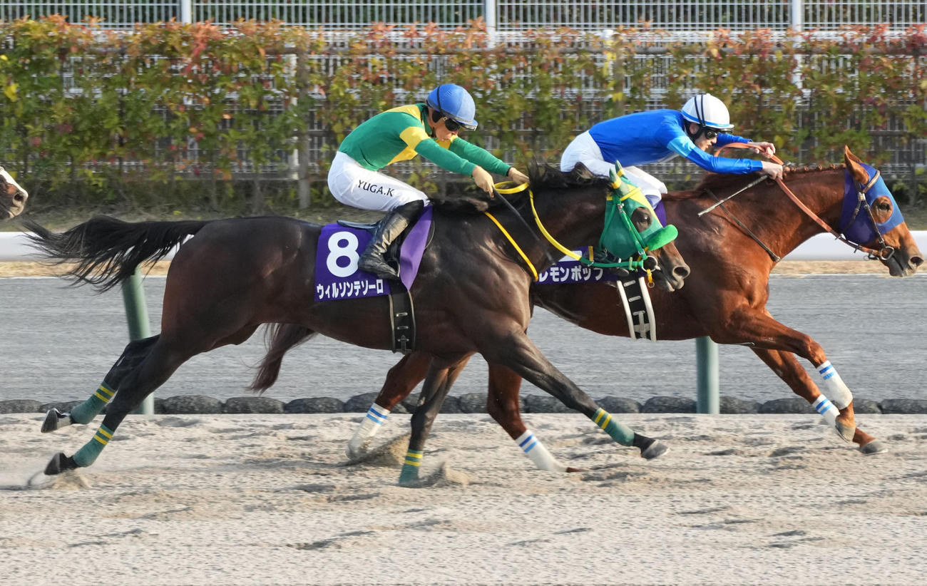 24年チャンピオンズC2着のウィルソンテソーロ（左）。右は勝ったレモンポップ

