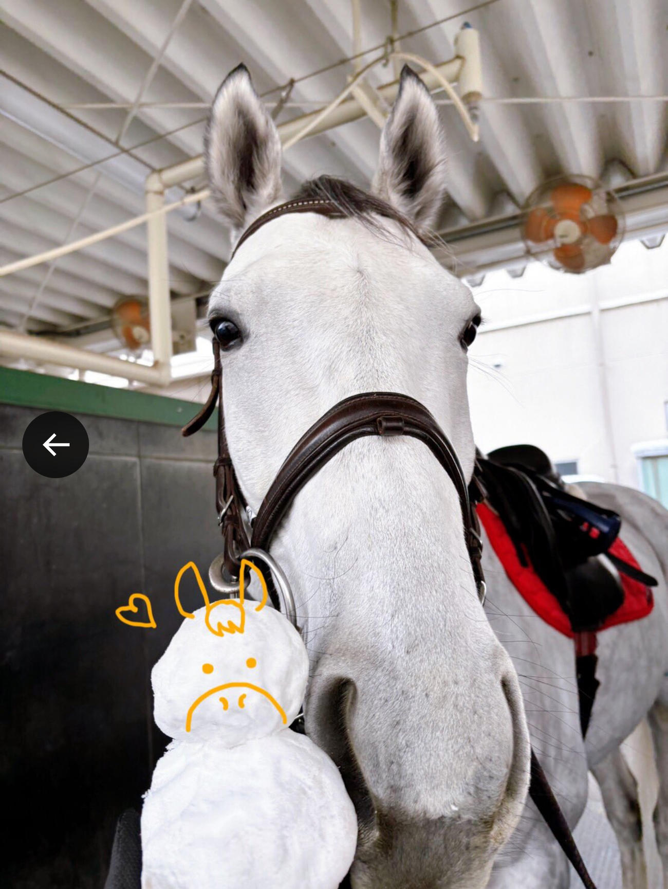 福島競馬場のXから