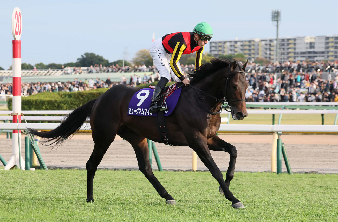 天皇賞・秋2着に敗れたミュージアムマイルとC・デムーロ騎手