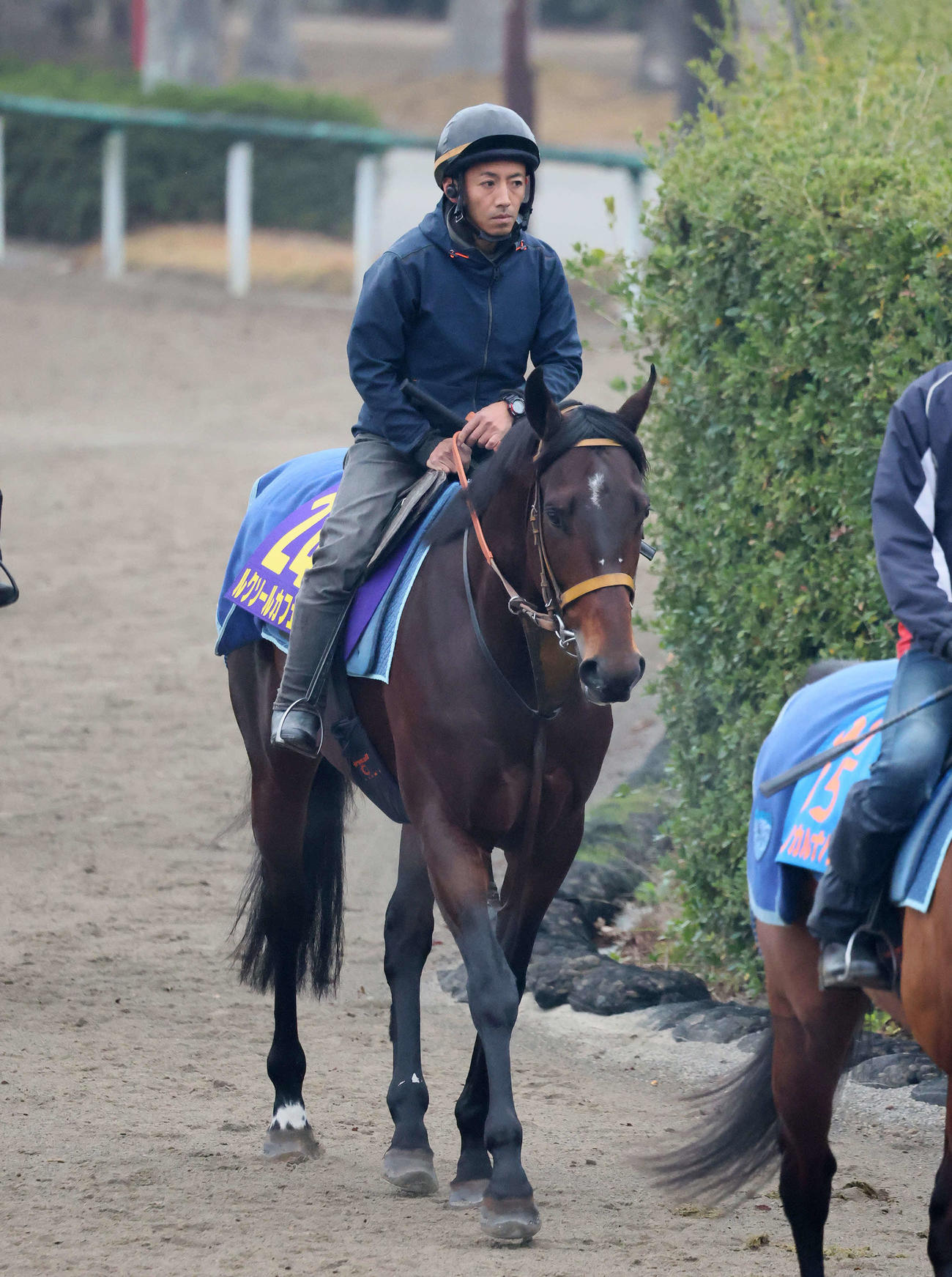 3日、馬場へ向かうルクソールカフェ