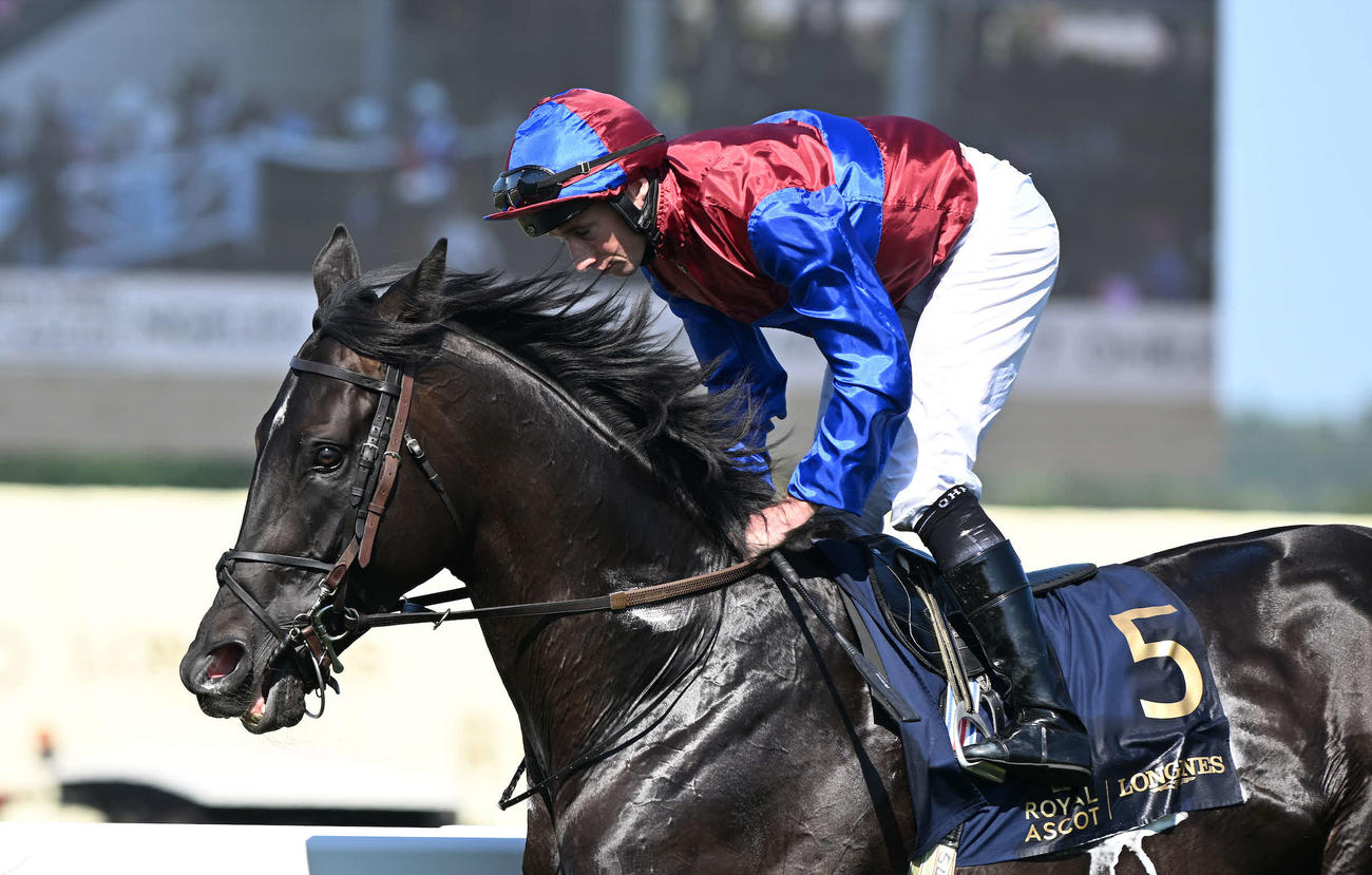 香港ヴァーズに出走予定のロスアンゼルス（C）The Hong Kong Jockey Club