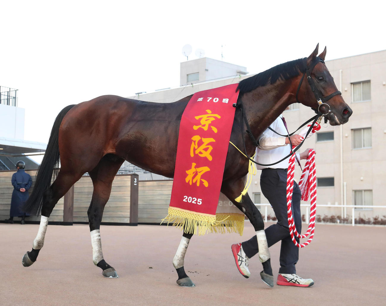 京阪杯を制したエーティーマクフィ（2025年11月30日撮影）