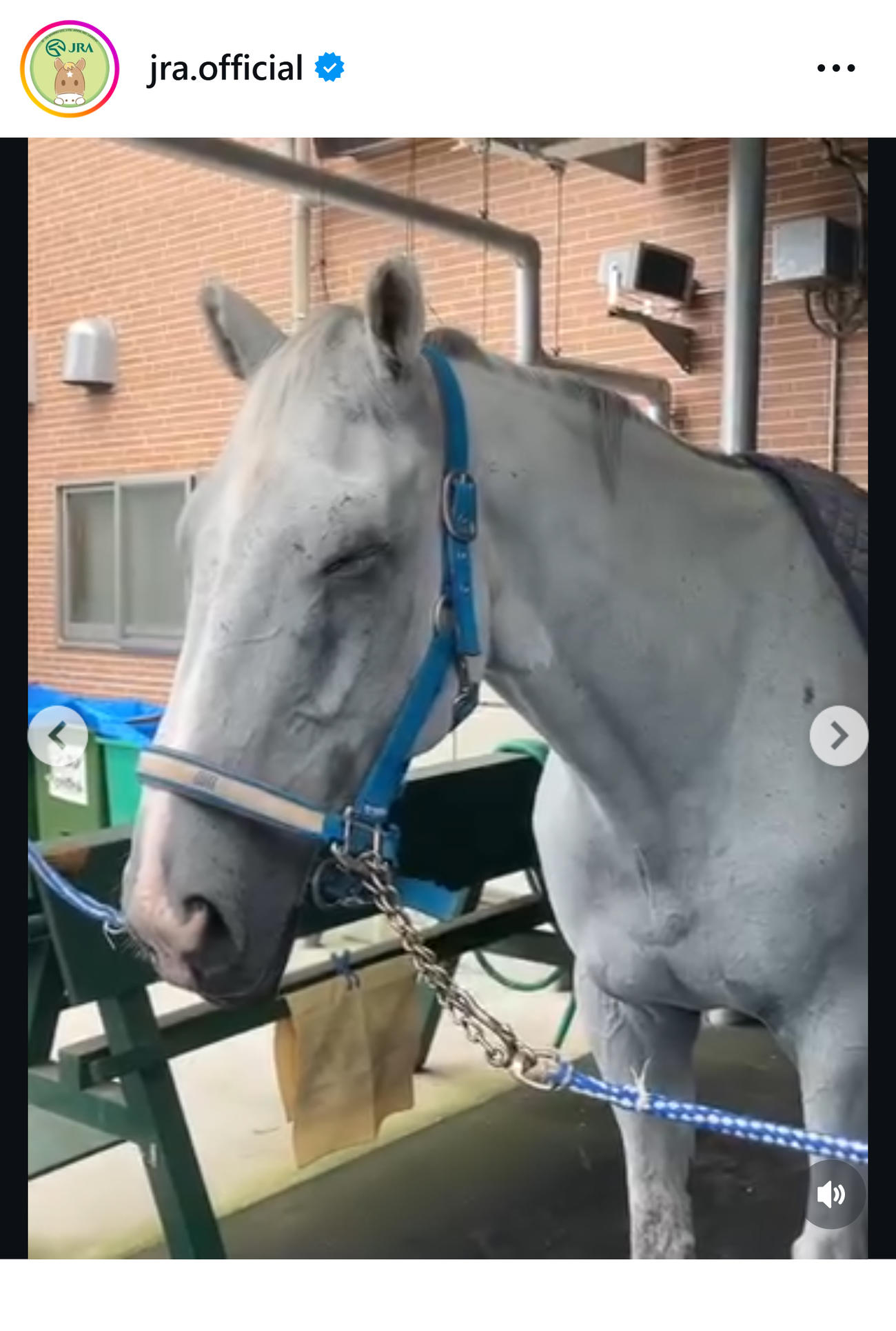JRAのインスタグラムから