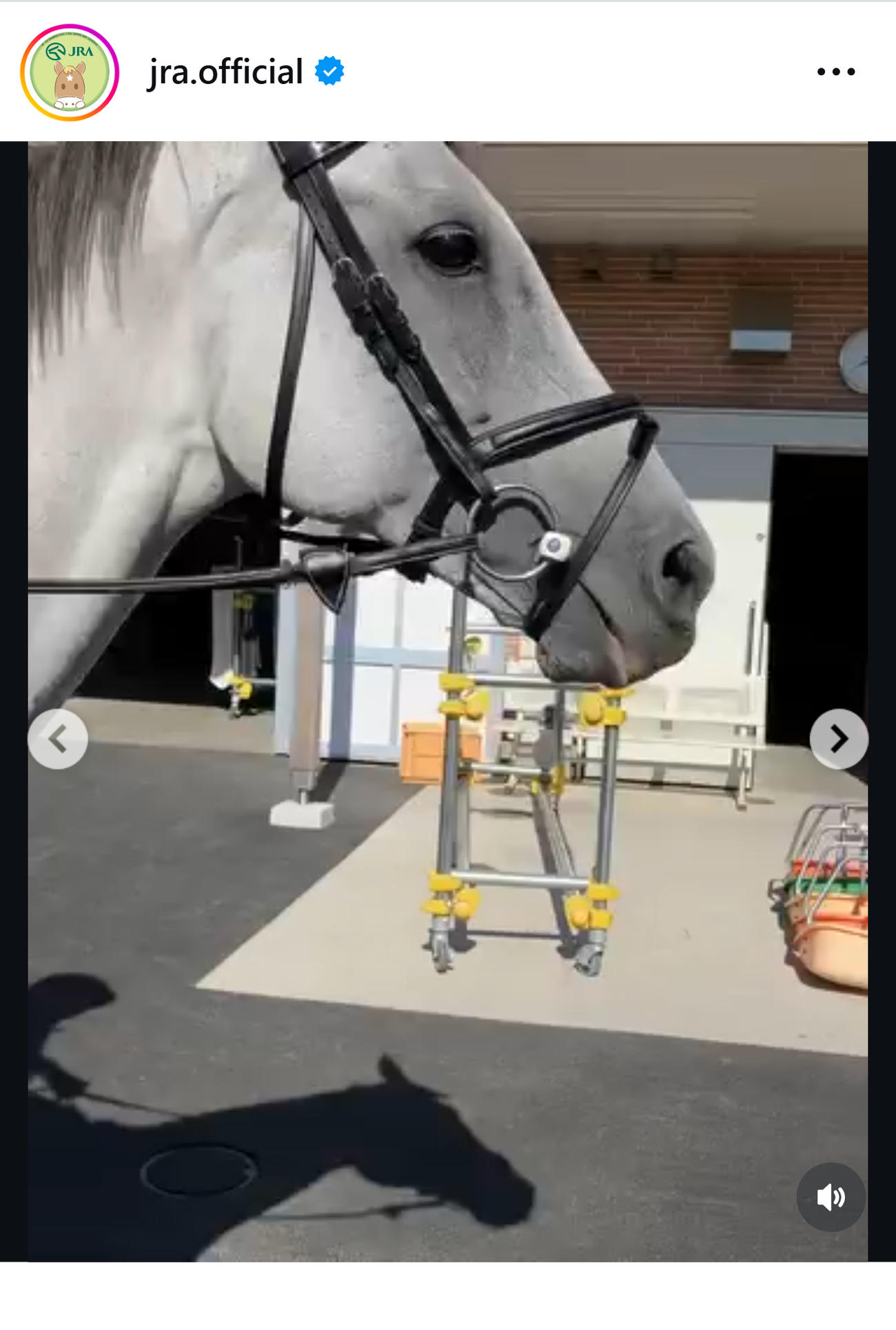 JRAのインスタグラムから