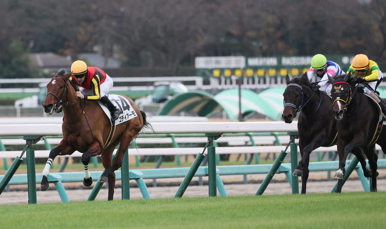 中山5R、2歳新馬戦を制したゴディアーモとルメール騎手（左）（撮影・丹羽敏通）