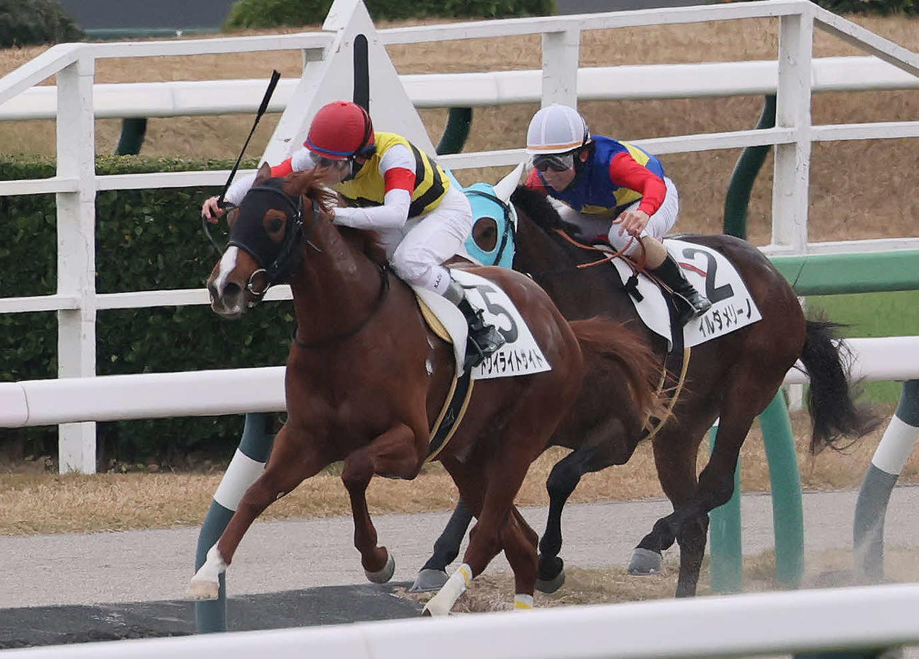 中山6R、2歳新馬戦を制したトワイライトサイトと横山和騎手（左）（撮影・丹羽敏通）