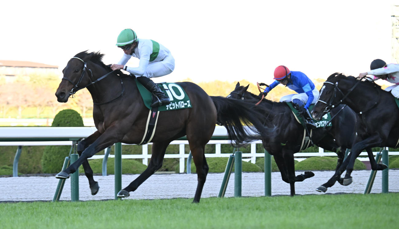 馬群の中央から突き抜け鳴尾記念を制したデビットバローズ（左）と岩田望来騎手（撮影・和賀正仁）
