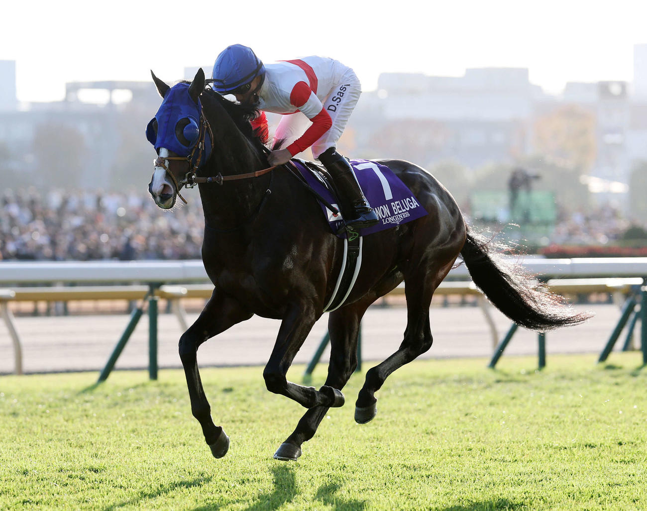 ジャパンC13着に敗れたダノンベルーガ
