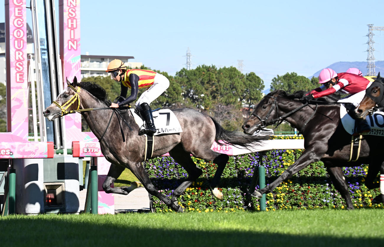 逃げ切って新馬戦を制したエルハーベン（撮影・和賀正仁）