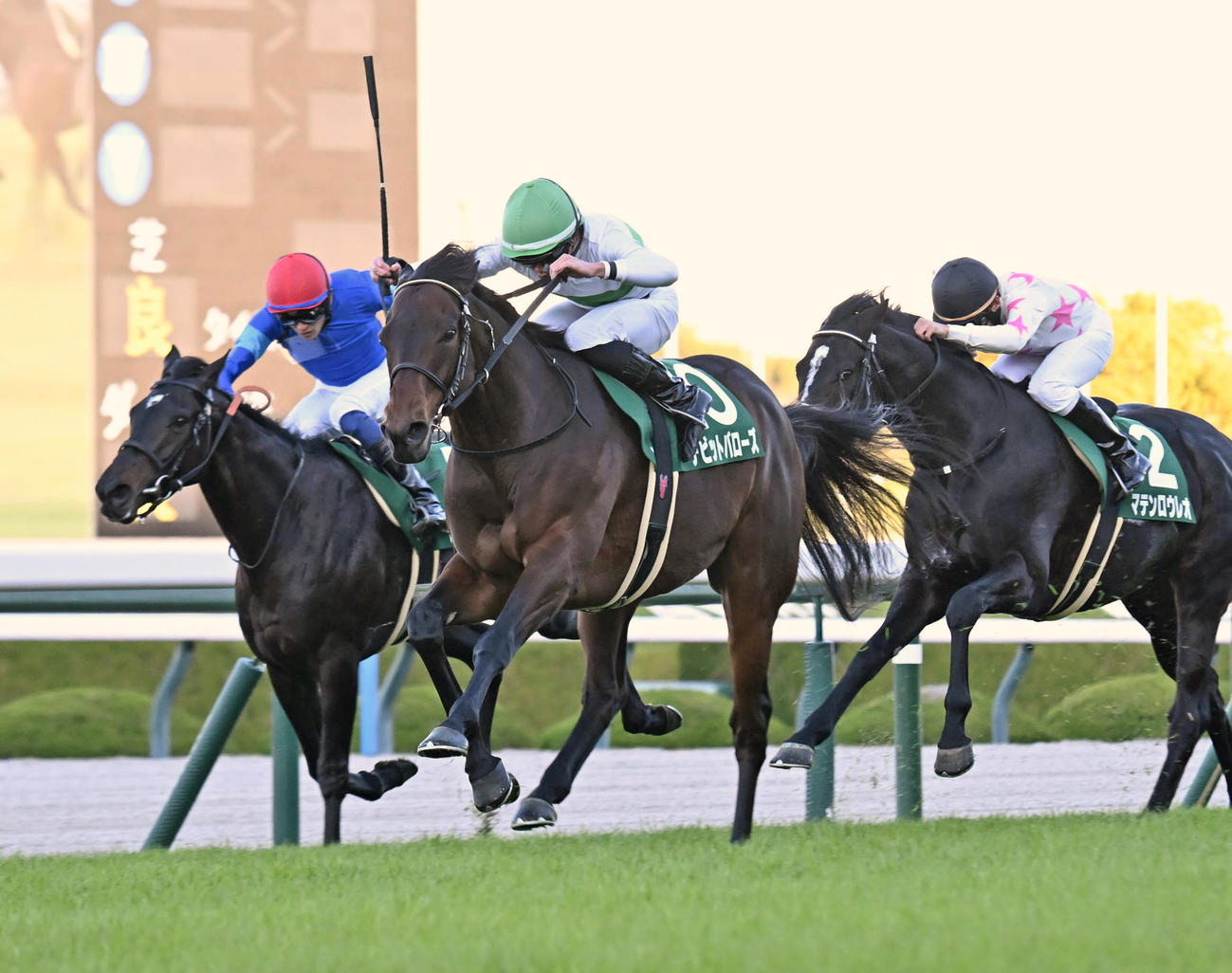 馬群の中央から突き抜け鳴尾記念を制したデビットバローズ（中央）と岩田望来騎手（撮影・和賀正仁）