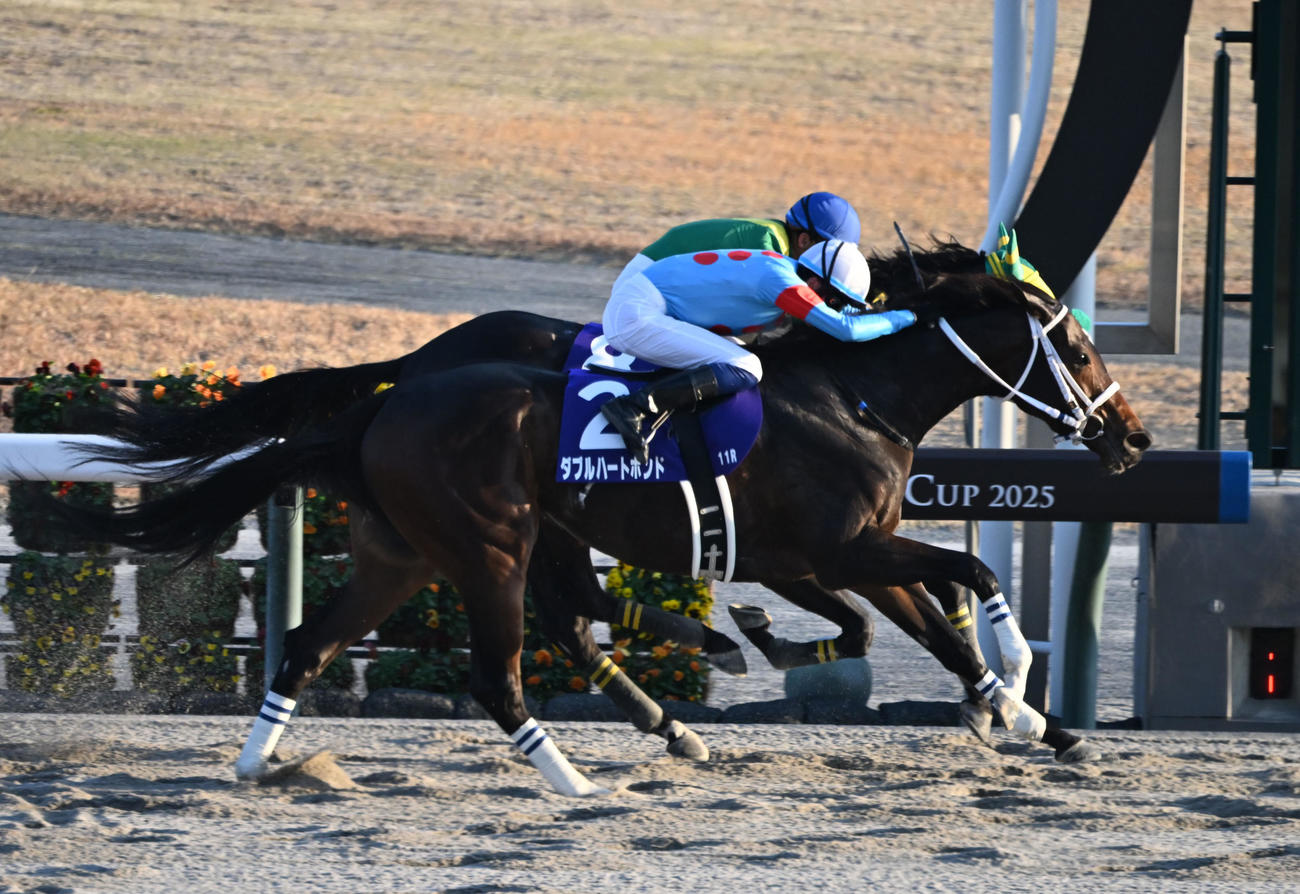 中京11R　直線で抜け出しチャンピオンズカップを制したダブルハートボンド（手前）（撮影・和賀正仁）