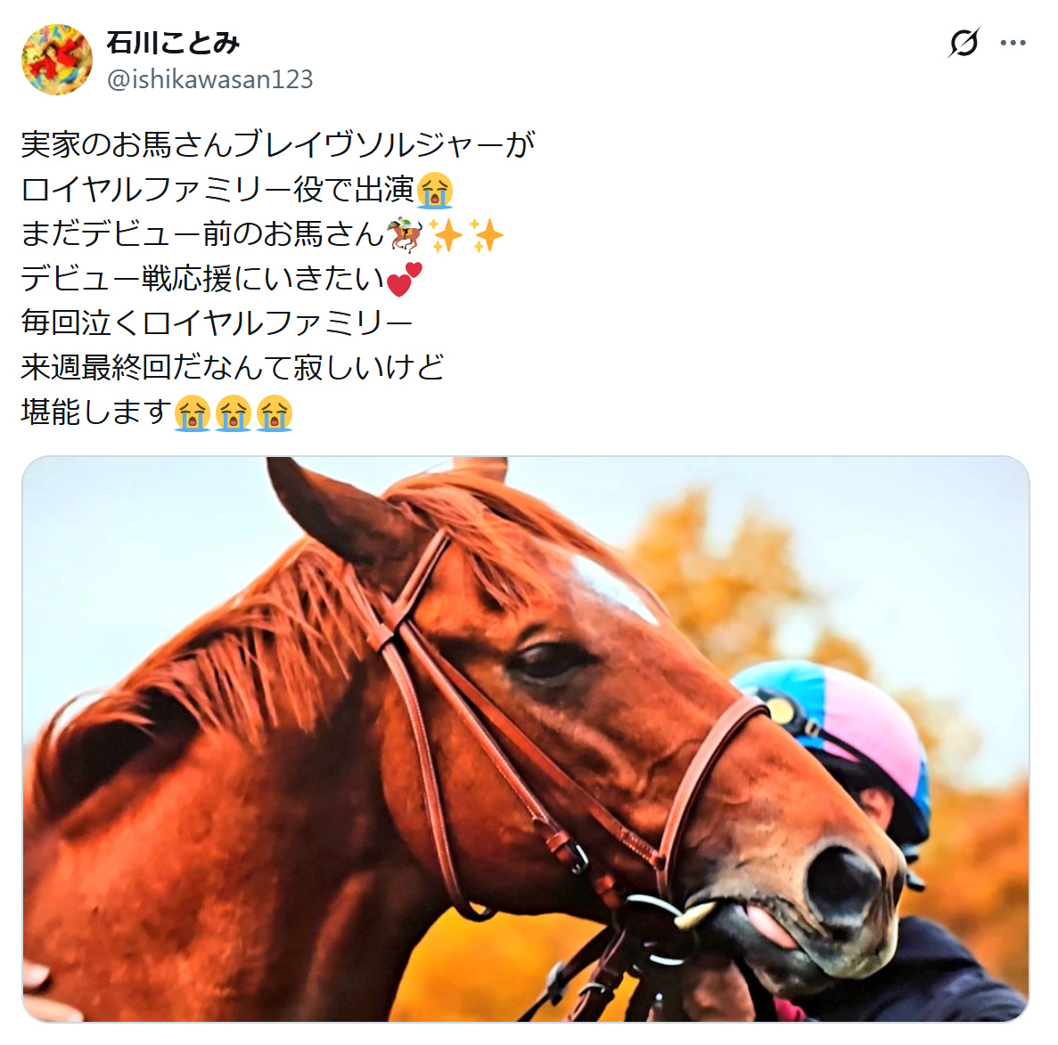 石川ことみのXから