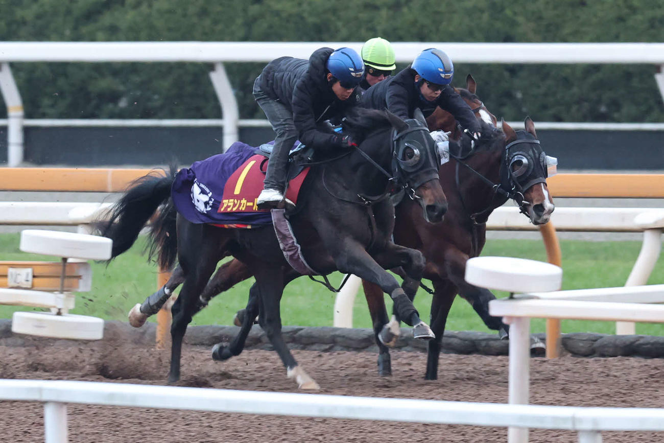 3日、余裕の手応えで併せ馬に先着したアランカール（左）