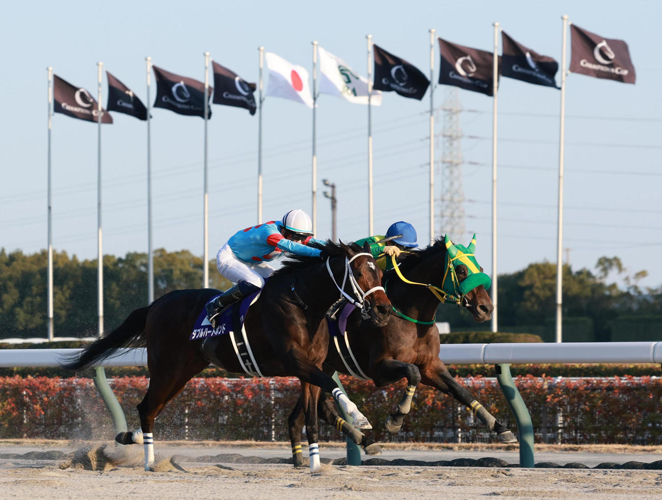 ウィルソンテソーロ（奥）に競り勝ち、チャンピオンズカップを制したダブルハートボンド