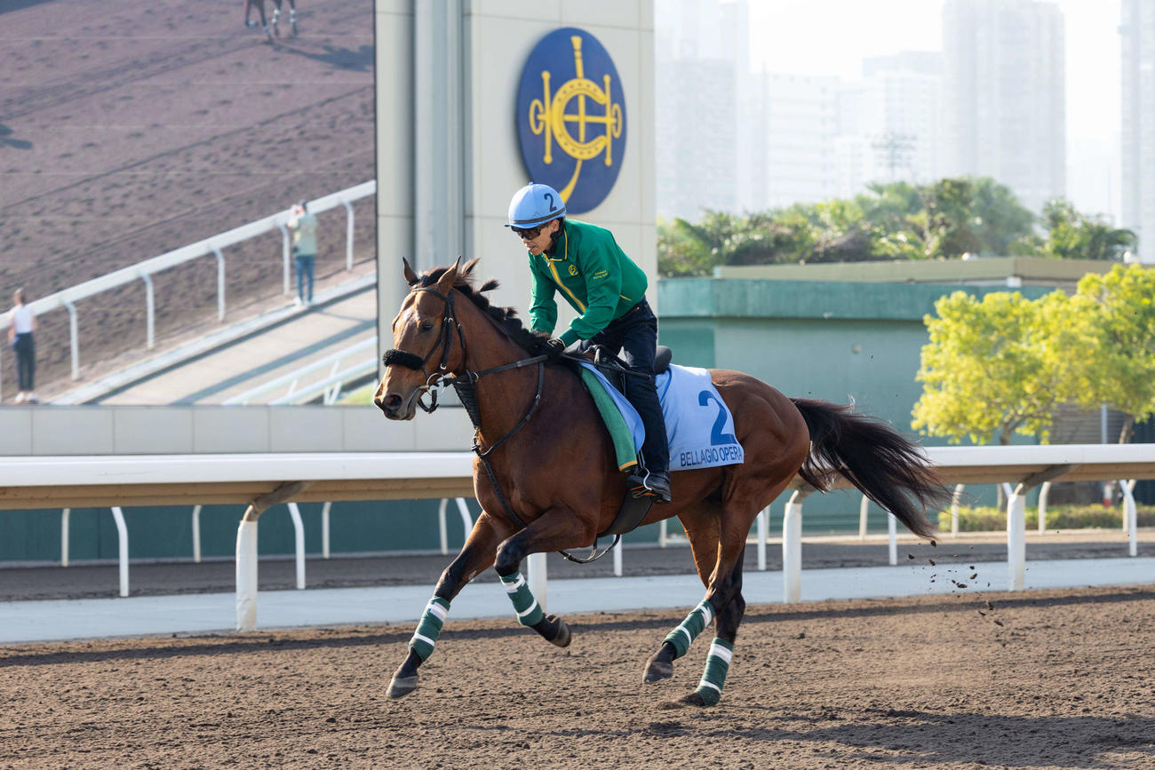 9日朝、シャティン競馬場で調教するベラジオオペラ（（C）The　Hong　Kong　Jockey　Club）