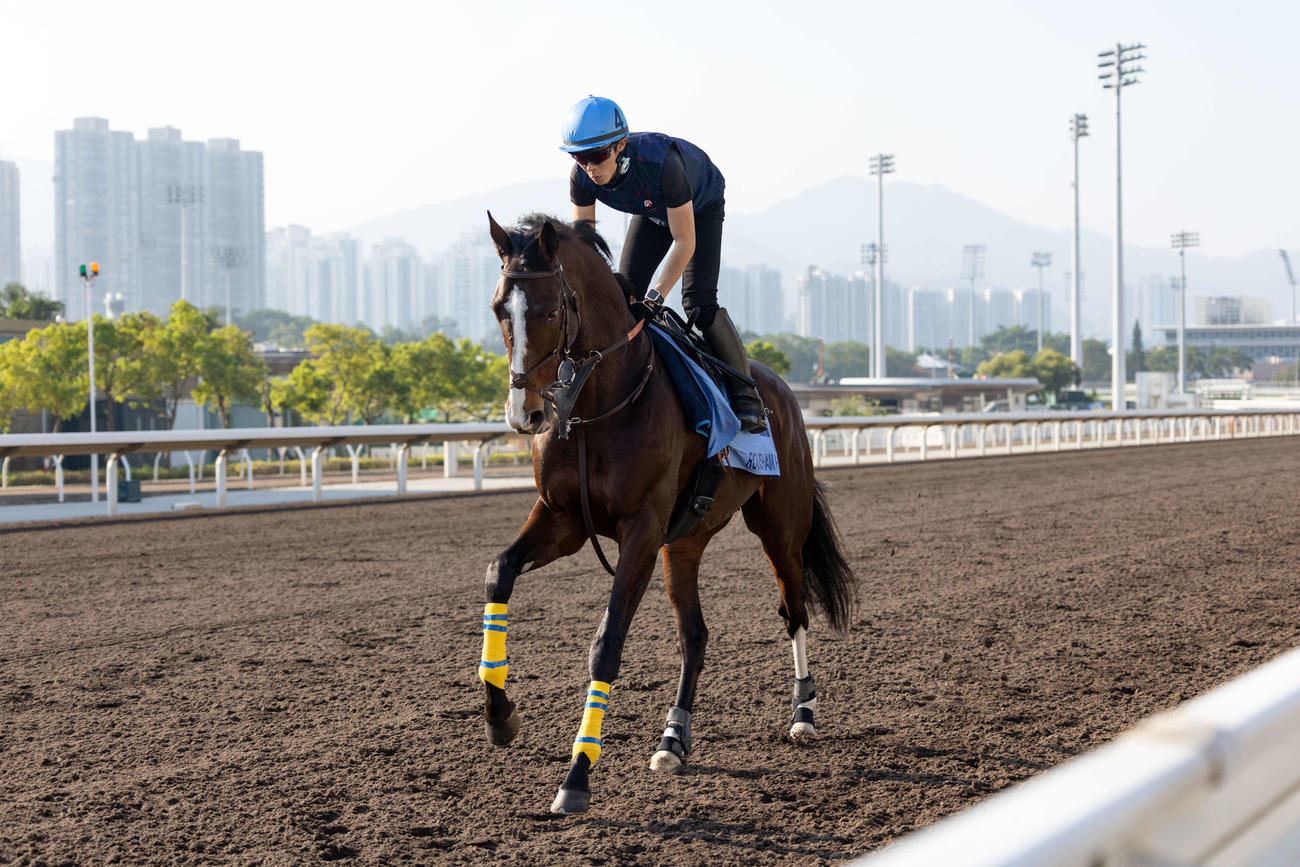 9日朝、シャティン競馬場で調教するローシャムパーク（C）The Hong Kong Jockey Club