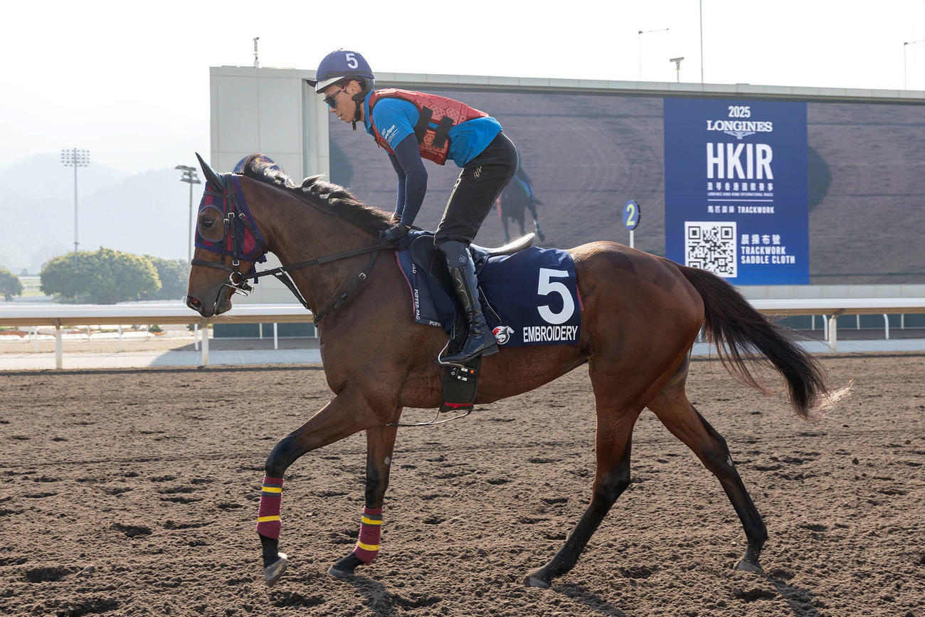シャティン競馬場で調整するエンブロイダリー（C）The Hong Kong Jockey Club
