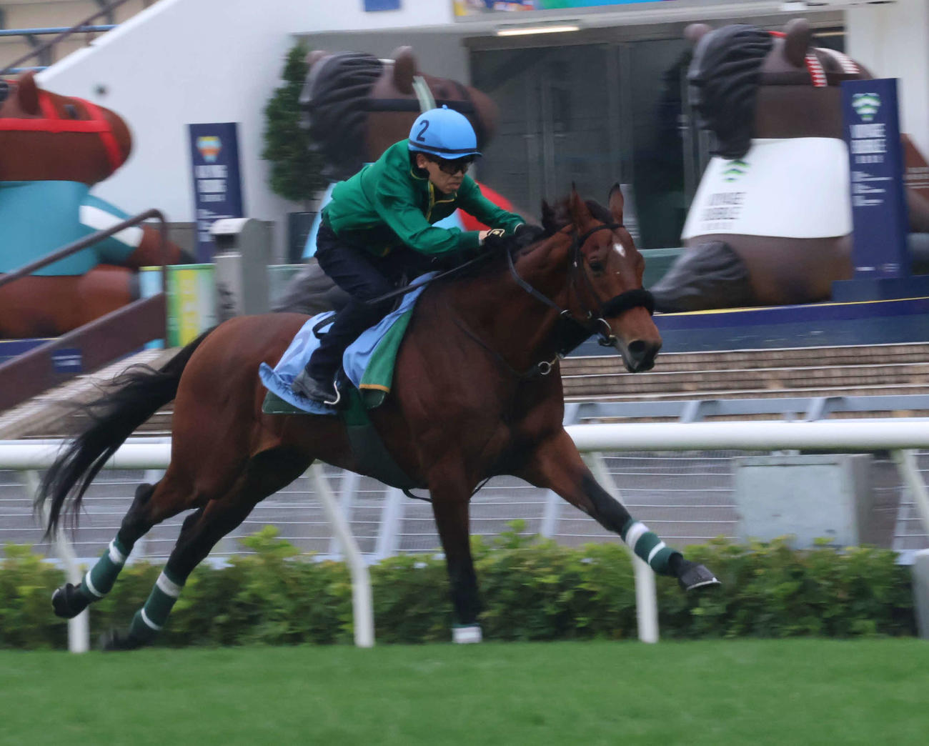 香港カップへ向けて最終追い切りを行ったベラジオオペラ（撮影・深田雄智）