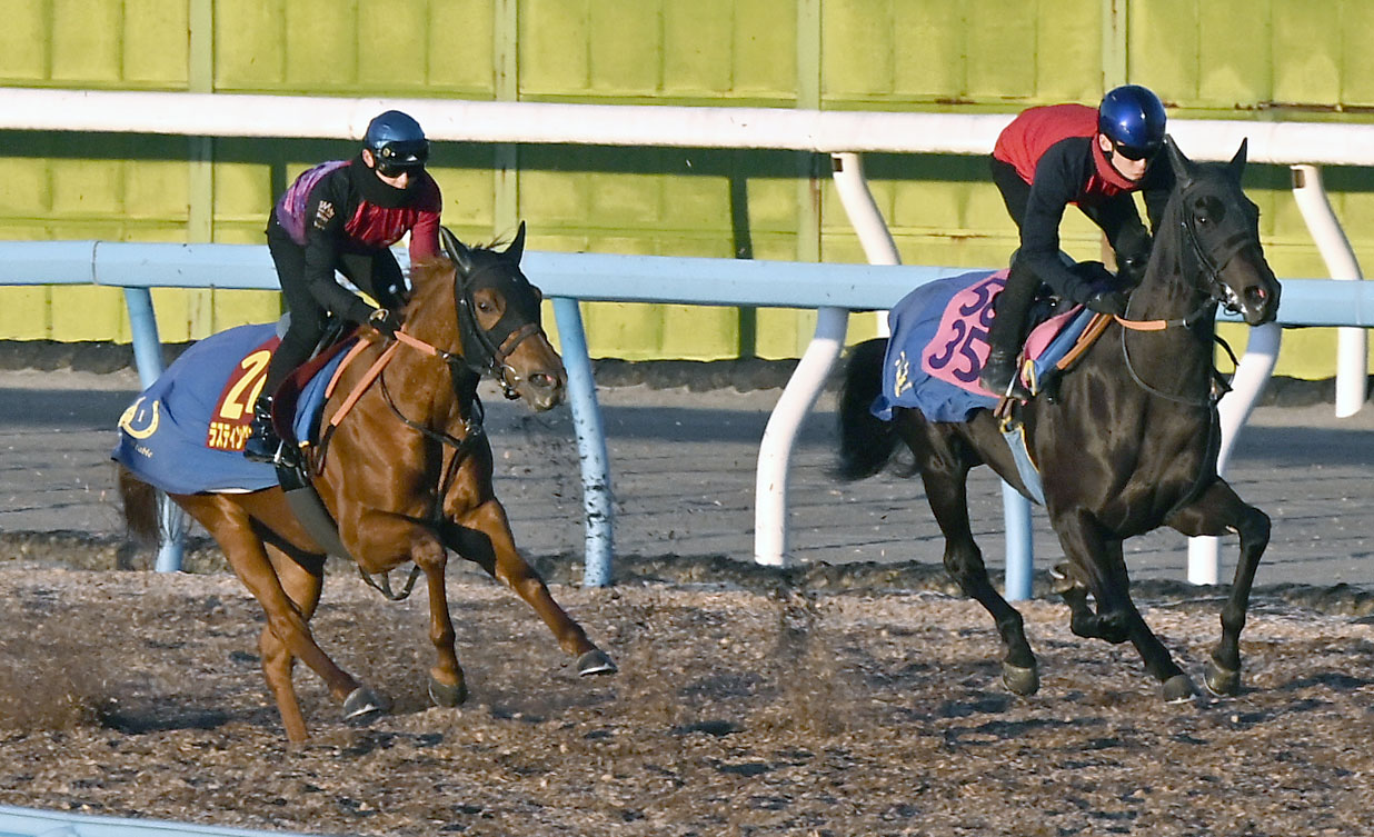 美浦ウッドを2頭併せで追い切るラスティングスノー（左）（撮影・千葉一成）