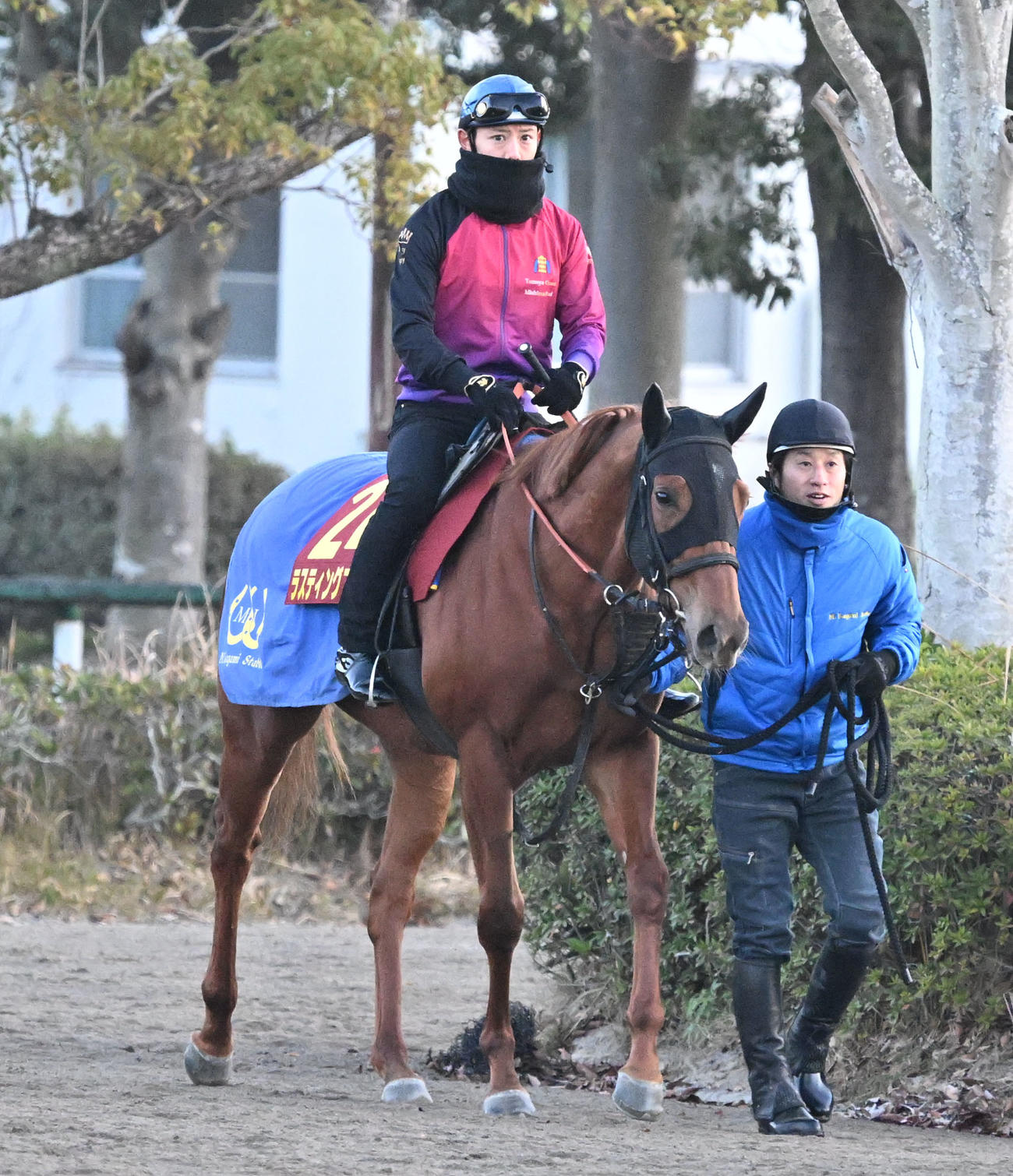 乗り運動するラスティングスノー（撮影・千葉一成）