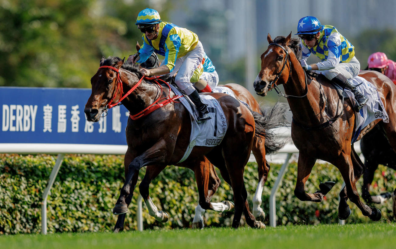 香港カップに出走予定だったマッシヴソヴリン（（C）The　Hong　Kong　Jockey　Club）