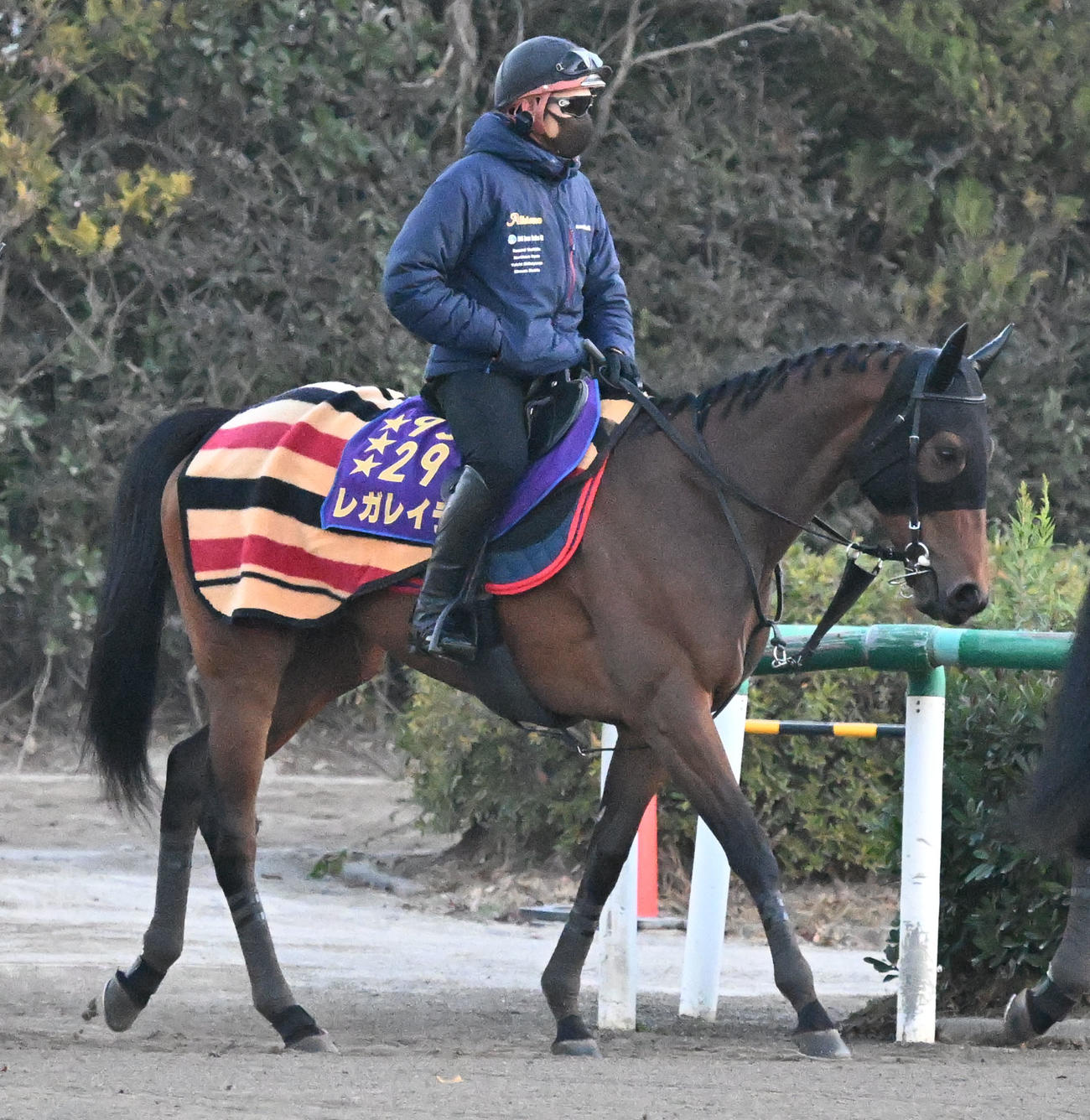 乗り運動するレガレイラ（撮影・千葉一成）