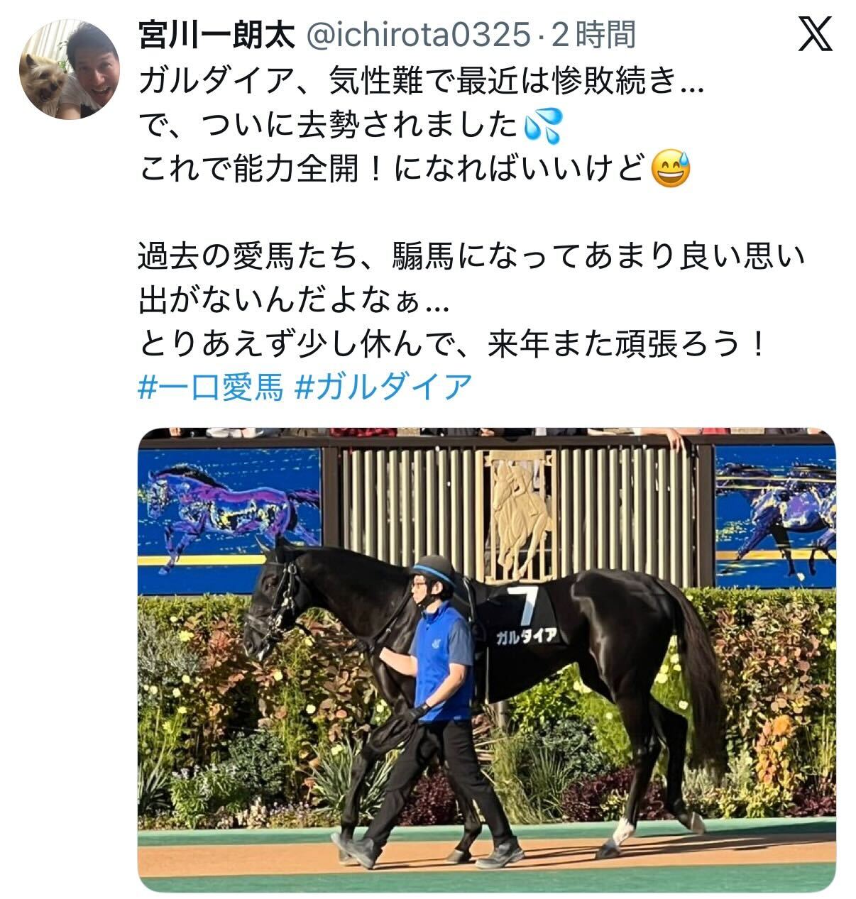 宮川一朗太のXから