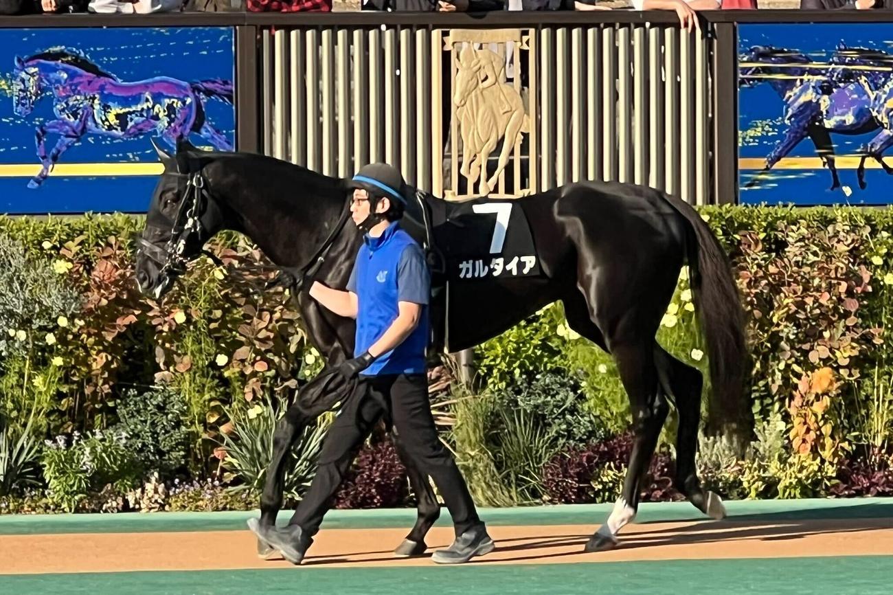 宮川一朗太のXから