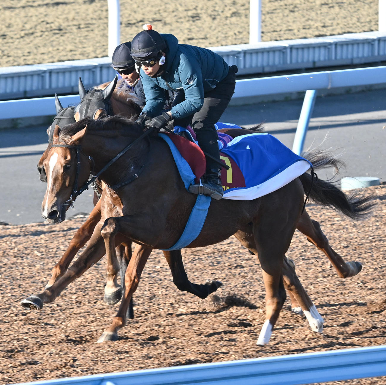 美浦ウッドを3頭併せで追い切るヒズマスターピース（手前）（撮影・千葉一成）