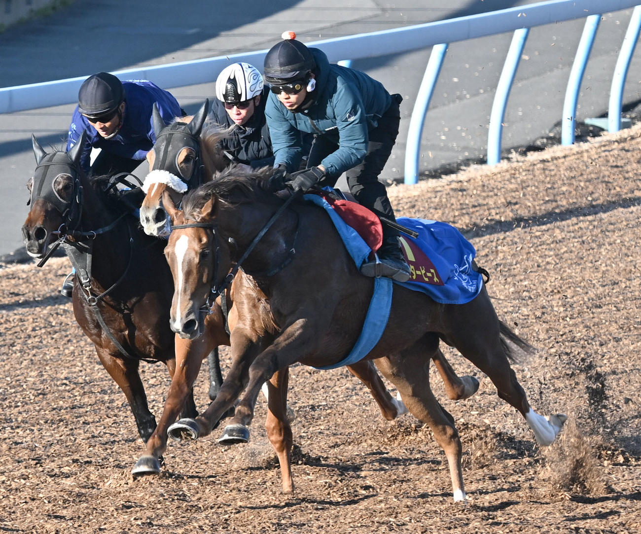 美浦ウッドを3頭併せで追い切るヒズマスターピース（右）（撮影・千葉一成）