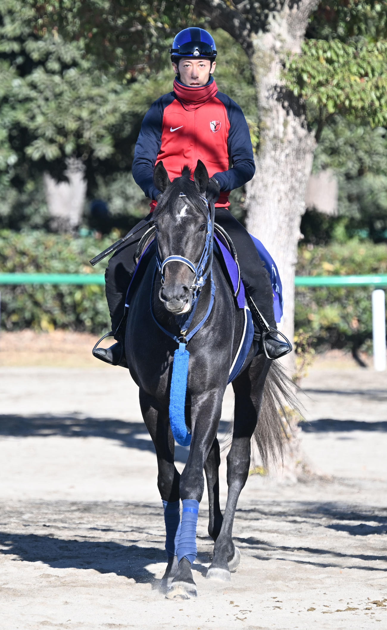 津村騎手を背に乗り運動するリアライズシリウス（撮影・千葉一成）