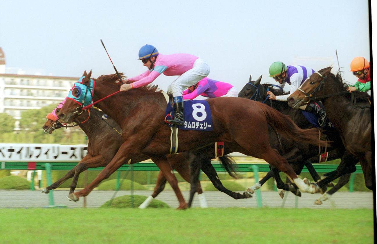 01年12月阪神JF　アローキャリー（奥）