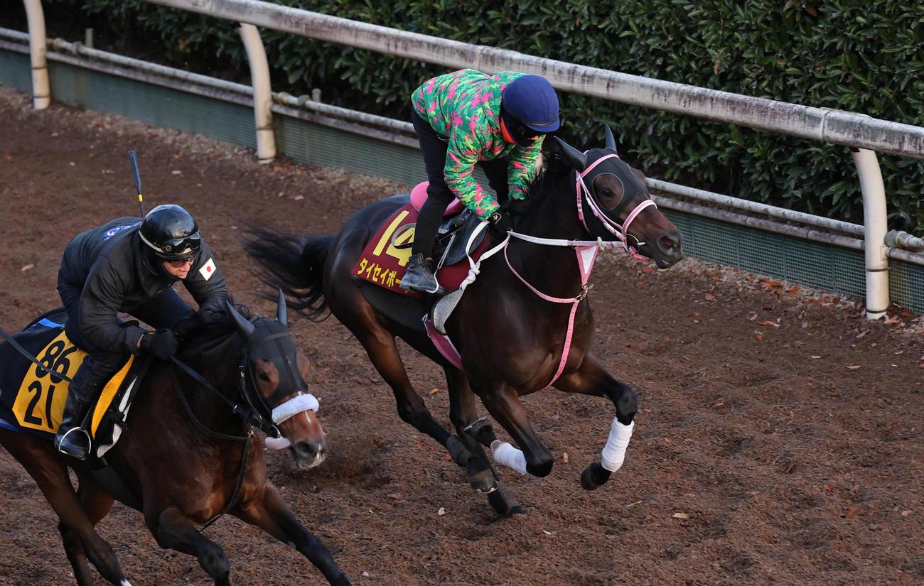 10日、西村淳也騎手を背に単走で坂路コースを追い切るタイセイボーグ（右）
