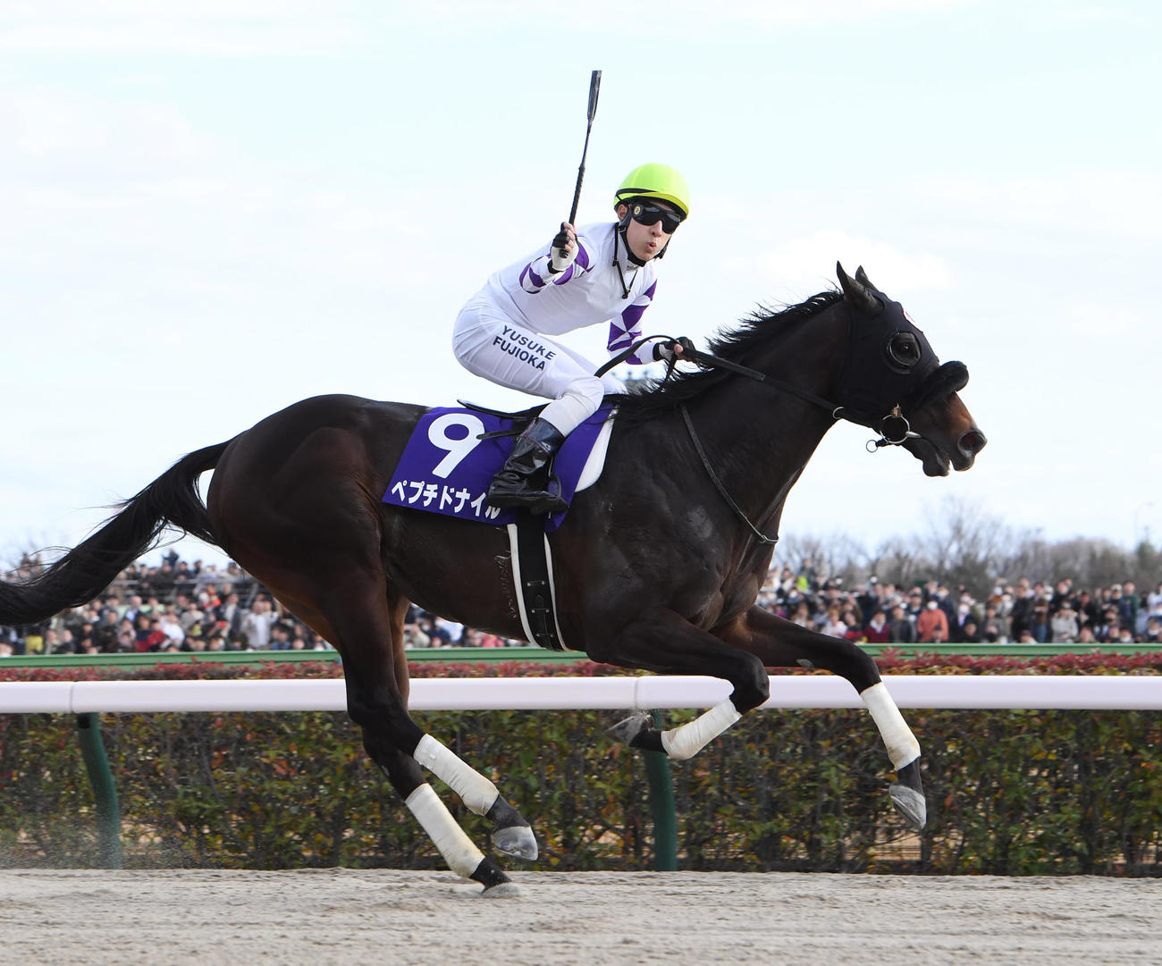 24年フェブラリーSをペプチドナイルで制しガッツポーズする藤岡佑騎手