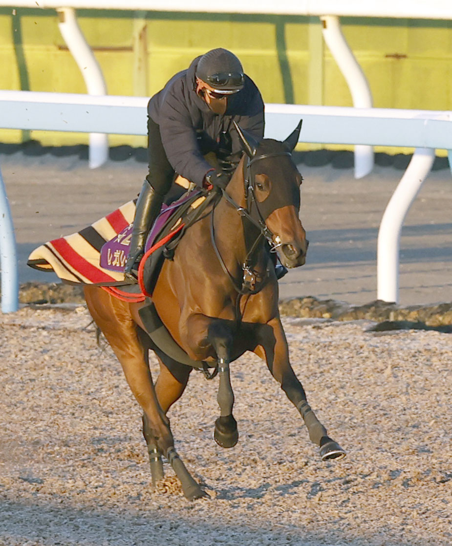 有馬記念ファン投票1位を獲得したレガレイラ（2025年12月10日撮影）
