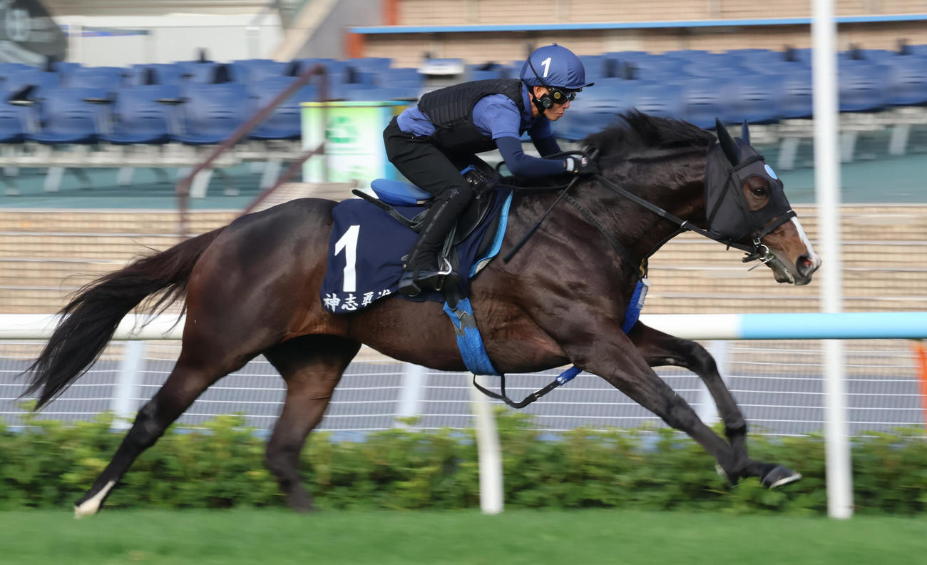 香港マイルに出走するソウルラッシュ（撮影・深田雄智）
