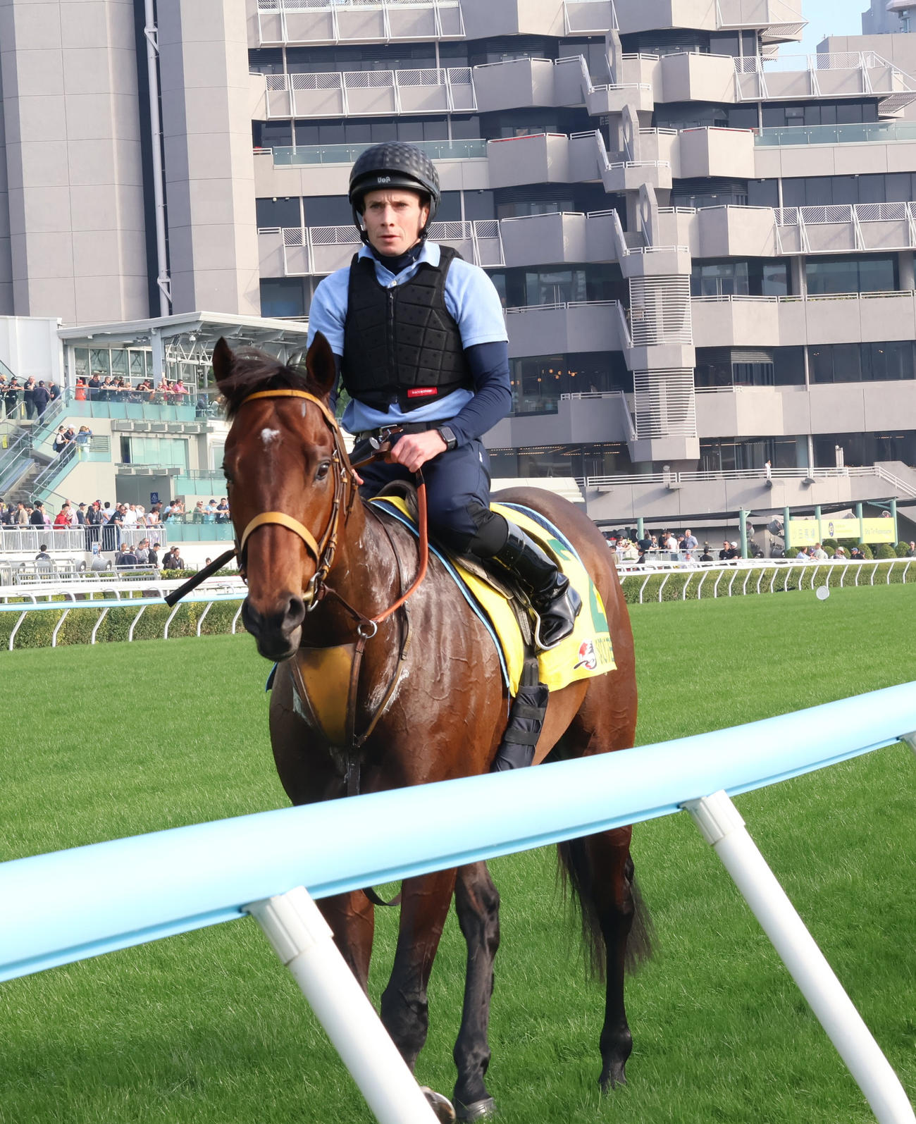 追い切り後ムーア騎手を背に引き揚げるサトノレーヴ（撮影・深田雄智）