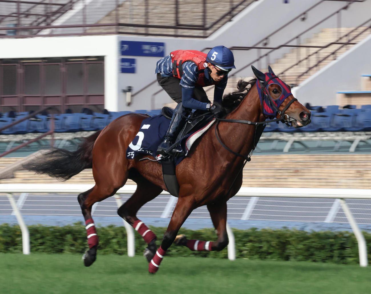 香港マイルに出走するエンブロイダリー（撮影・深田雄智）
