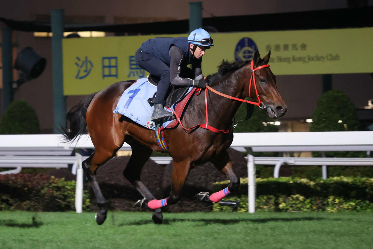J・マクドナルド騎手を背に追い切るロマンチックウォリアー（C）The Hong Kong Jockey Club