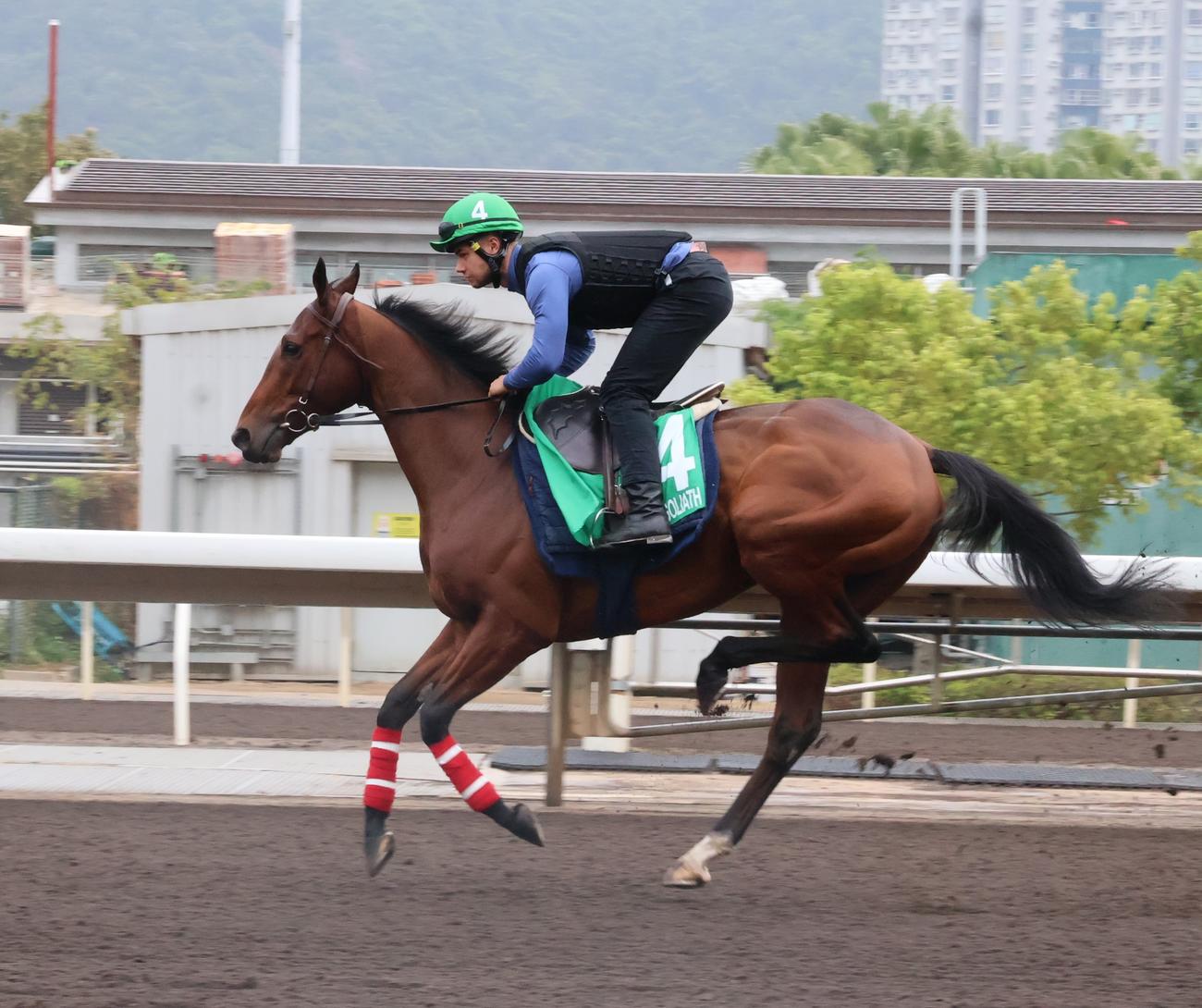 香港ヴァーズ】「今週はみんなが見たいゴリアットの姿を見られる