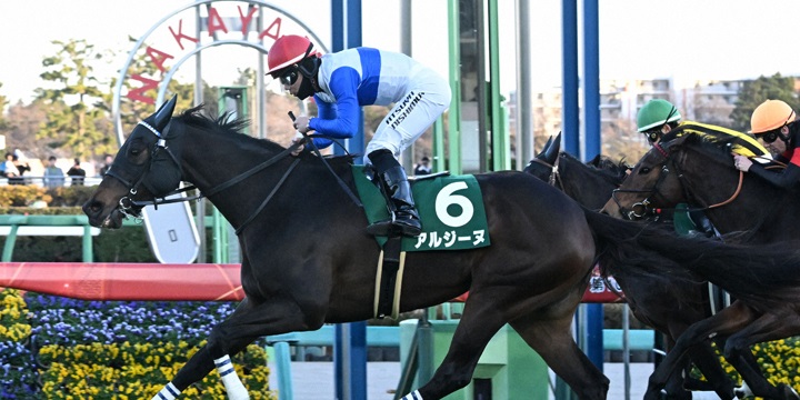 ターコイズＳを制したアルジーヌ＝2024年12月14日